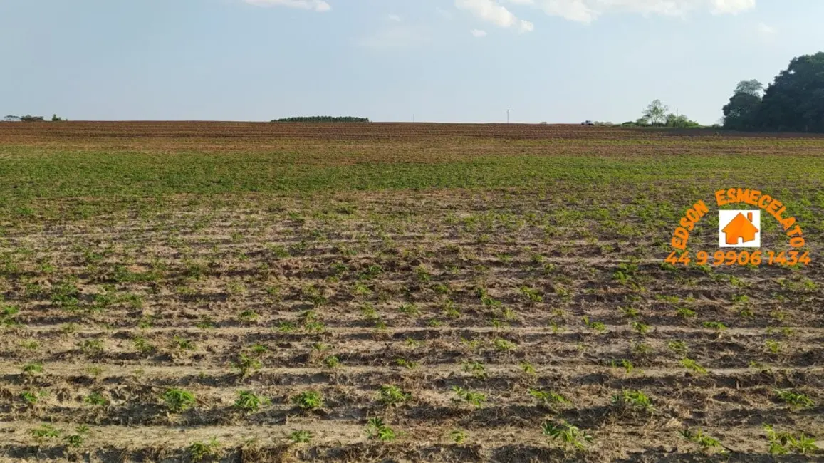 Foto 9 de Fazenda / Haras à venda, 12m2 em Terra Roxa - PR