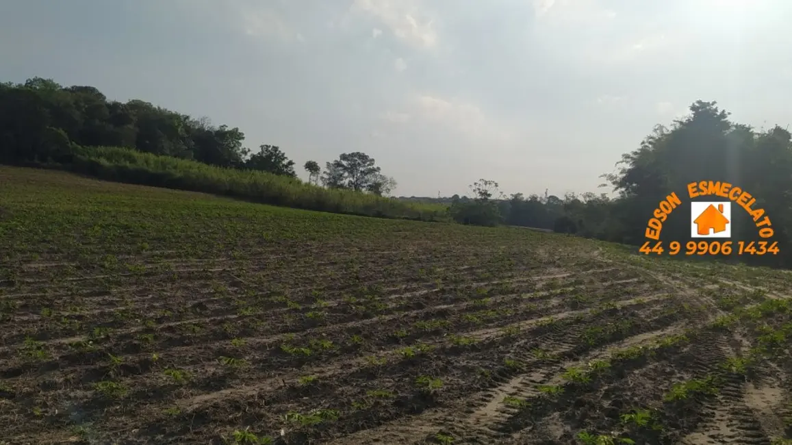 Foto 6 de Fazenda / Haras à venda, 12m2 em Terra Roxa - PR