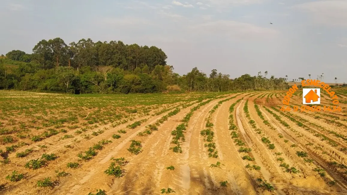 Foto 7 de Fazenda / Haras à venda, 12m2 em Terra Roxa - PR