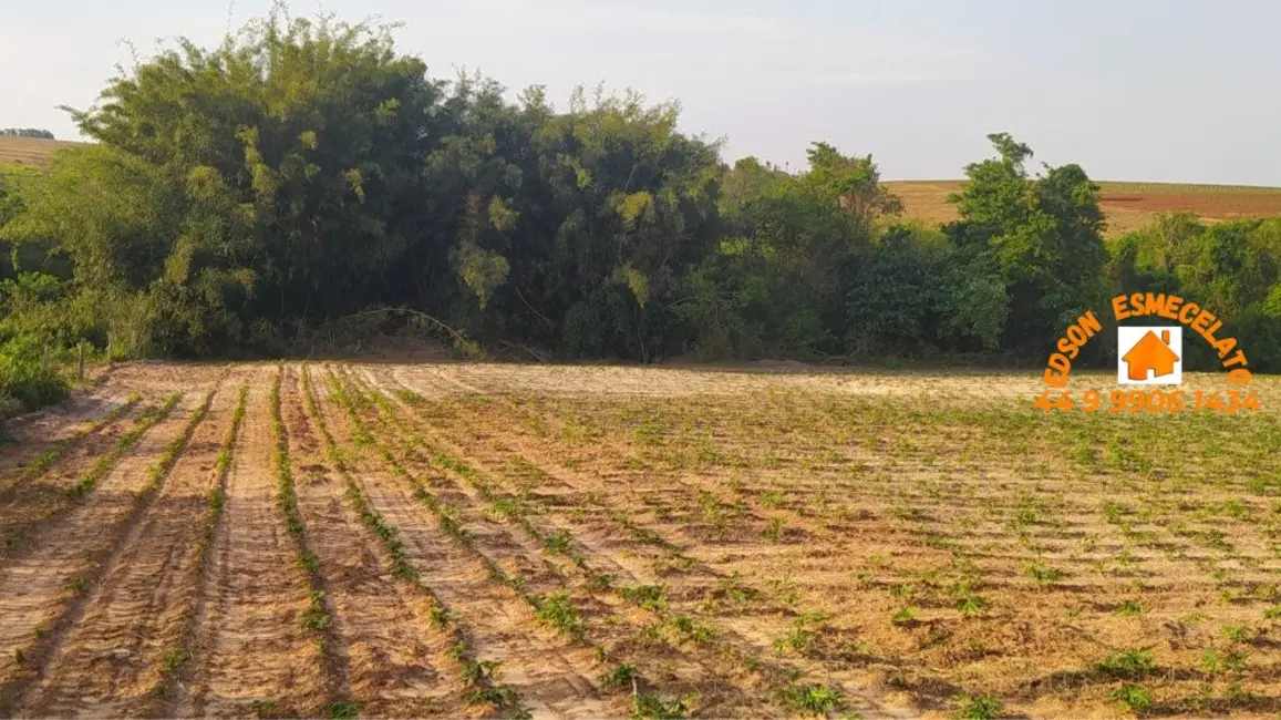 Foto 8 de Fazenda / Haras à venda, 12m2 em Terra Roxa - PR