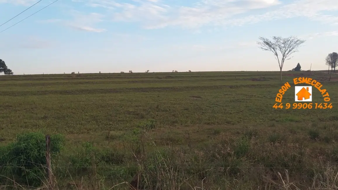 Fazenda / Haras à venda em Terra Roxa - PR - imagem 6 Foto 6 de Fazenda / Haras à venda em Terra Roxa - PR