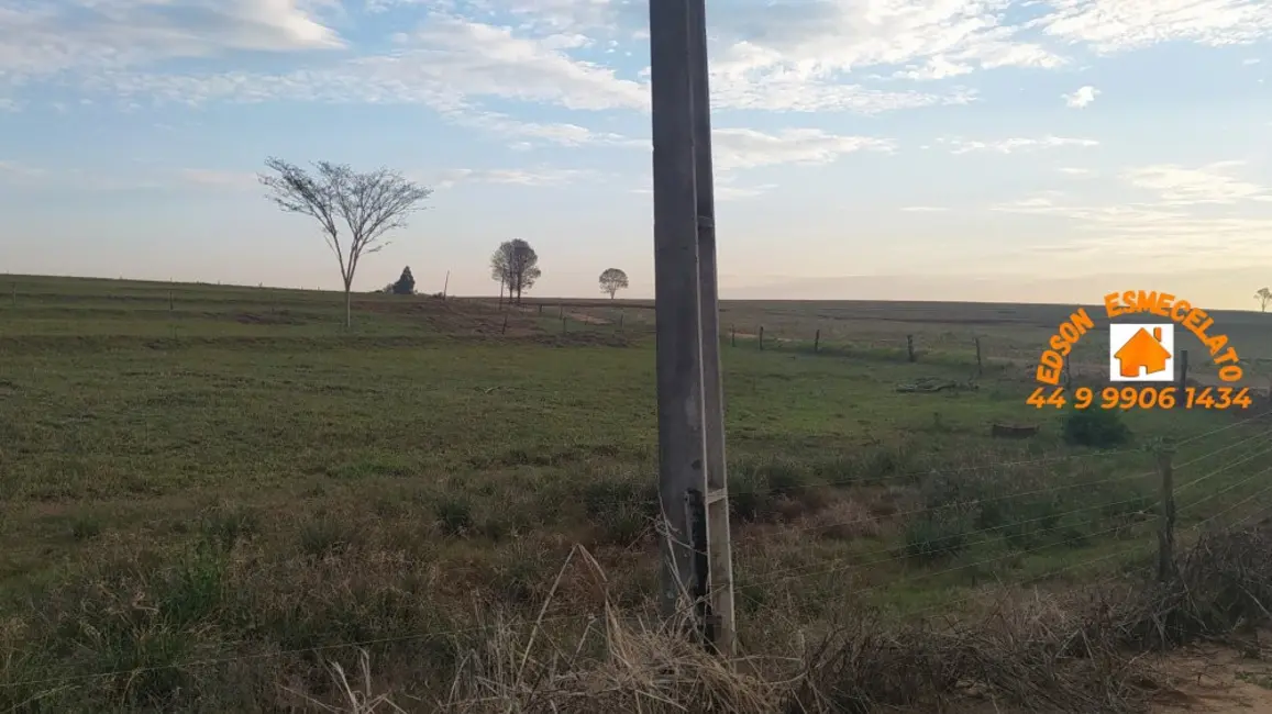 Fazenda / Haras à venda em Terra Roxa - PR - imagem 7 Foto 7 de Fazenda / Haras à venda em Terra Roxa - PR