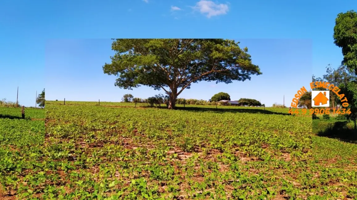 Foto 1 de Chácara com 3 quartos à venda em Terra Roxa - PR