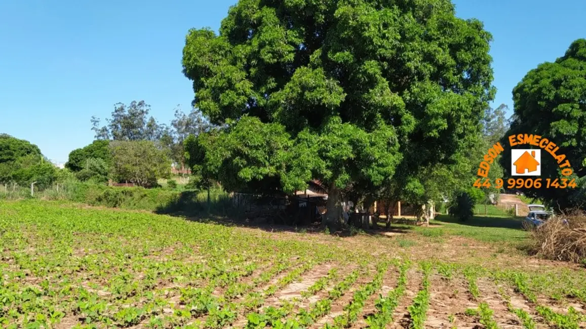 Foto 8 de Chácara com 3 quartos à venda em Terra Roxa - PR