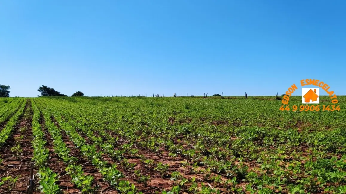 Foto 3 de Chácara com 3 quartos à venda em Terra Roxa - PR