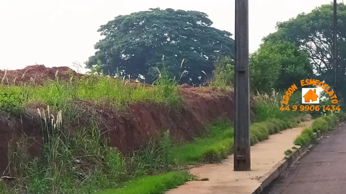 Terreno / Lote à venda, 5000m2 em Centro, Terra Roxa - PR - imagem 2 Foto 2 de Terreno / Lote à venda, 5000m2 em Centro, Terra Roxa - PR