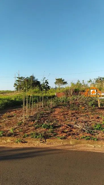 Terreno / Lote à venda, 278m2 em Terra Roxa - PR - imagem 1 Foto 1 de Terreno / Lote à venda, 278m2 em Terra Roxa - PR