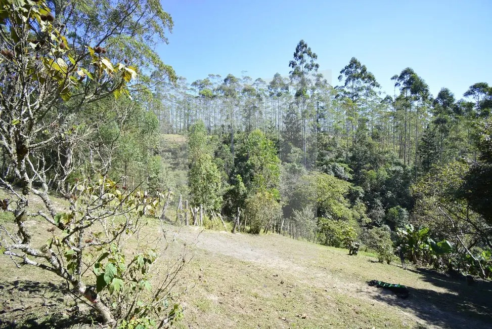 Foto 8 de Sítio / Rancho com 3 quartos à venda, 48000m2 em Centro, Juquitiba - SP