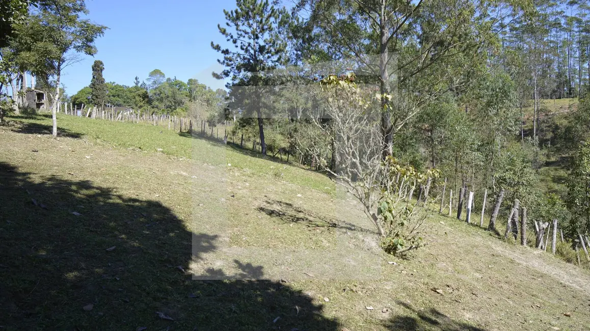 Foto 4 de Sítio / Rancho com 3 quartos à venda, 48000m2 em Centro, Juquitiba - SP
