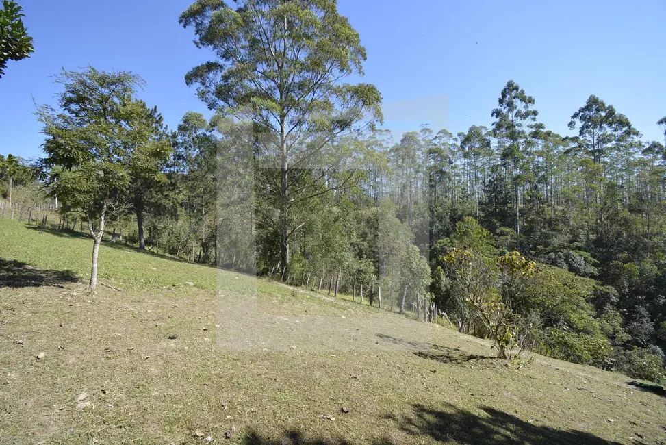 Foto 9 de Sítio / Rancho com 3 quartos à venda, 48000m2 em Centro, Juquitiba - SP