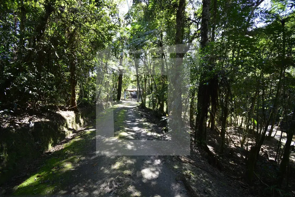 Foto 6 de Sítio / Rancho com 3 quartos à venda, 294000m2 em Centro, Juquitiba - SP