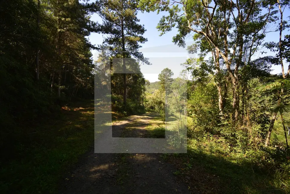 Foto 9 de Sítio / Rancho com 3 quartos à venda, 294000m2 em Centro, Juquitiba - SP