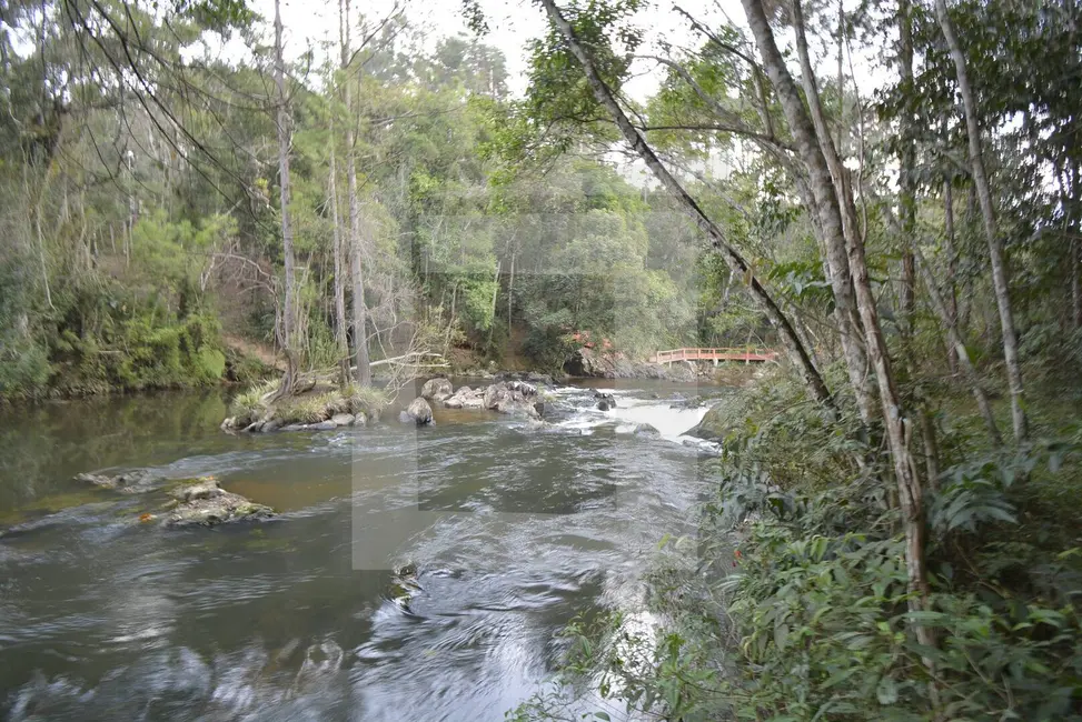 Foto 5 de Sítio / Rancho com 7 quartos à venda, 217800m2 em Centro, Juquitiba - SP