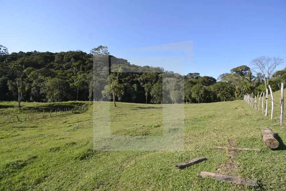 Sítio / Rancho com 3 quartos à venda, 60000m2 em Centro, Juquitiba - SP - imagem 7 Foto 7 de Sítio / Rancho com 3 quartos à venda, 60000m2 em Centro, Juquitiba - SP