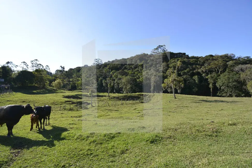 Sítio / Rancho com 3 quartos à venda, 60000m2 em Centro, Juquitiba - SP - imagem 6 Foto 6 de Sítio / Rancho com 3 quartos à venda, 60000m2 em Centro, Juquitiba - SP