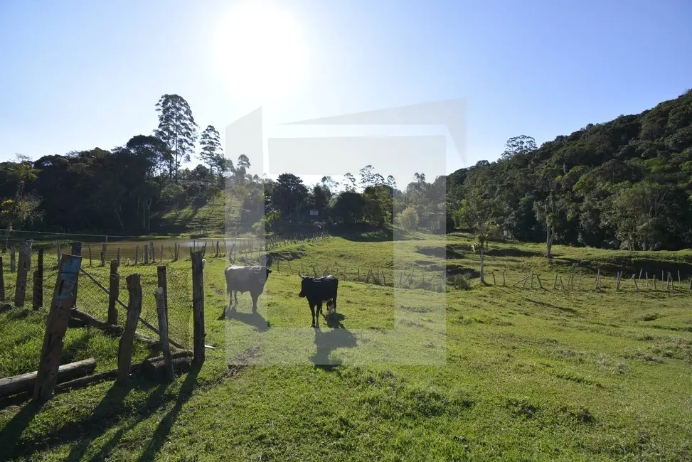 Sítio / Rancho com 3 quartos à venda, 60000m2 em Centro, Juquitiba - SP - imagem 3 Foto 3 de Sítio / Rancho com 3 quartos à venda, 60000m2 em Centro, Juquitiba - SP