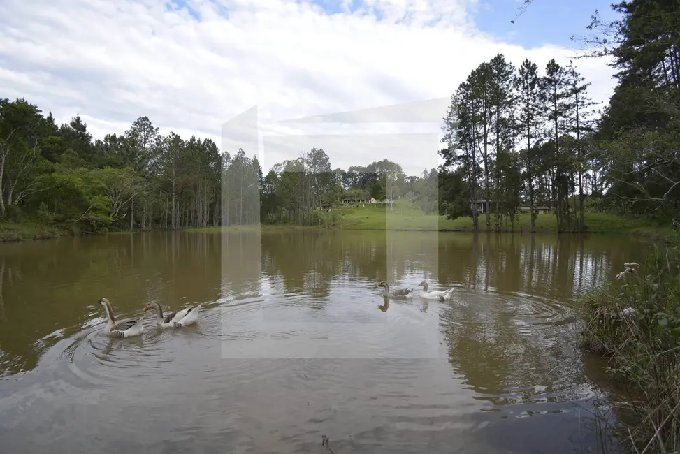 Foto 3 de Fazenda / Haras com 5 quartos à venda, 183920m2 em Centro, Juquitiba - SP