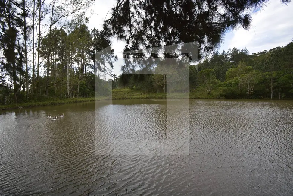 Foto 4 de Fazenda / Haras com 5 quartos à venda, 183920m2 em Centro, Juquitiba - SP