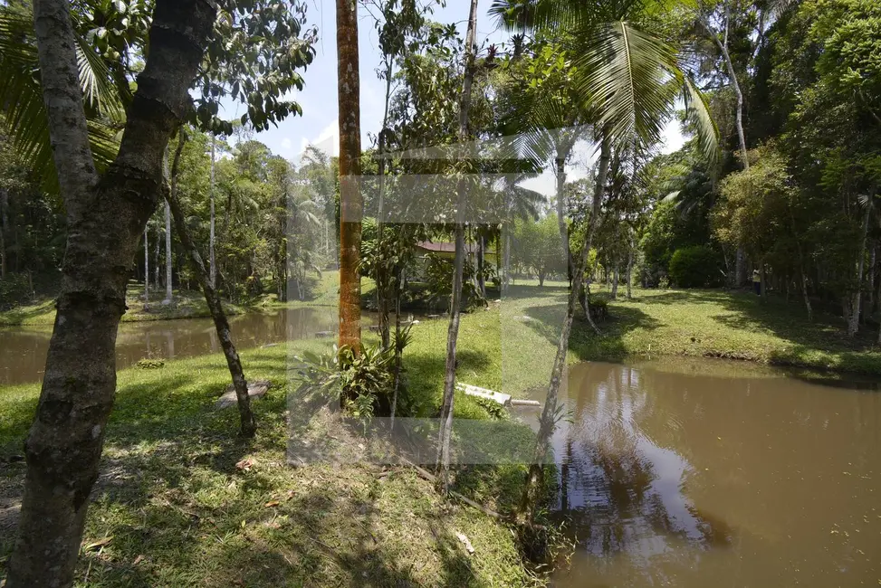 Foto 3 de Sítio / Rancho com 3 quartos à venda, 20000m2 em Centro, Juquitiba - SP