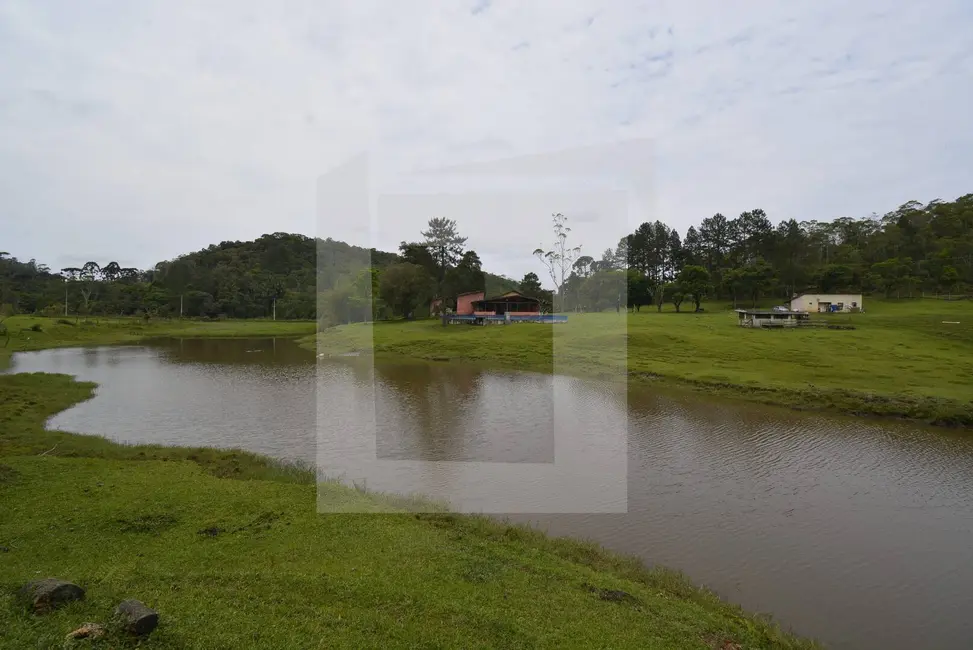 Foto 3 de Sítio / Rancho com 5 quartos à venda, 94000m2 em Centro, Juquitiba - SP