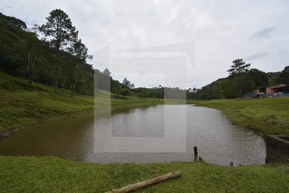 Foto 2 de Sítio / Rancho com 5 quartos à venda, 94000m2 em Centro, Juquitiba - SP