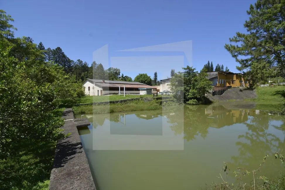 Foto 3 de Chácara com 4 quartos à venda, 7500m2 em Centro, Juquitiba - SP