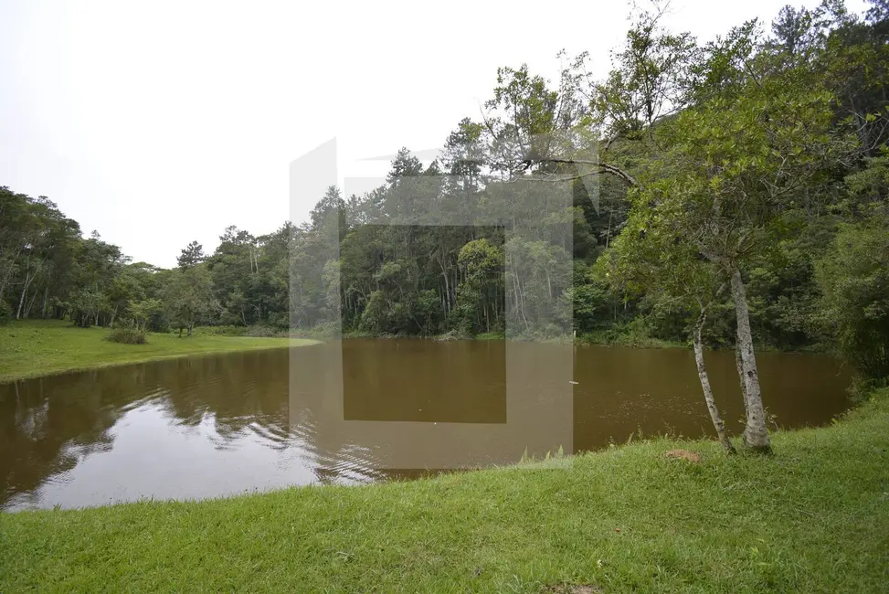 Foto 8 de Sítio / Rancho com 2 quartos à venda, 44000m2 em Centro, Juquitiba - SP