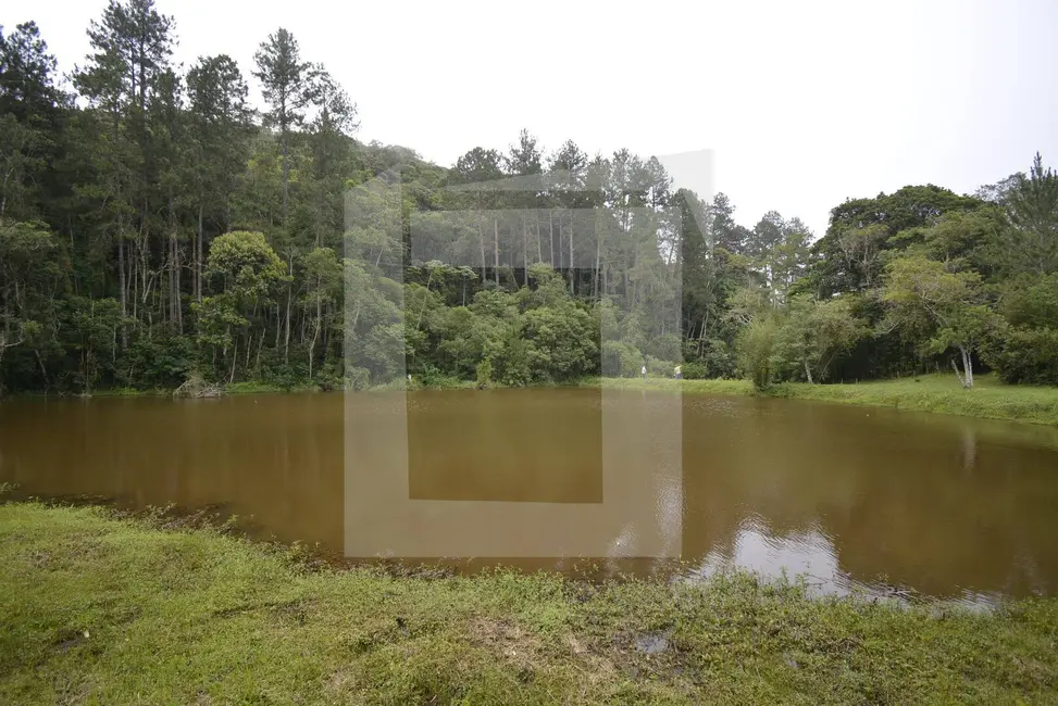 Foto 9 de Sítio / Rancho com 2 quartos à venda, 44000m2 em Centro, Juquitiba - SP