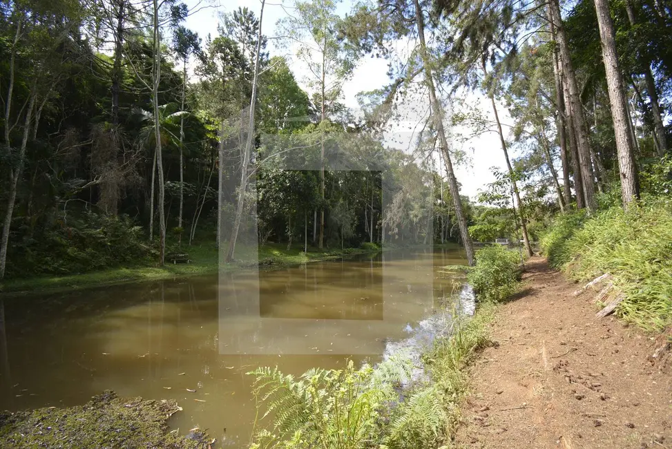 Foto 7 de Sítio / Rancho com 3 quartos à venda, 21450m2 em Centro, Juquitiba - SP