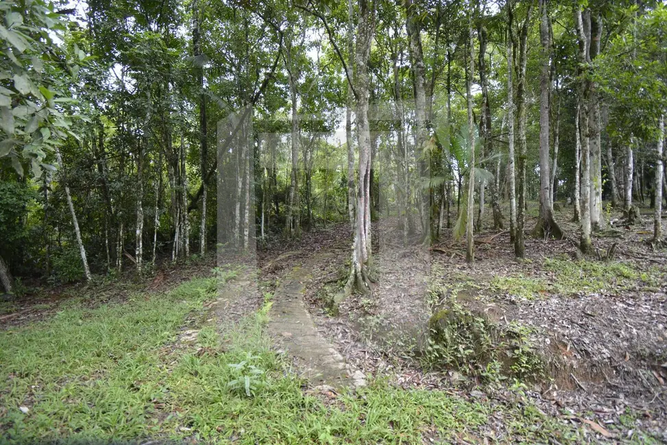 Foto 9 de Sítio / Rancho com 1 quarto à venda, 22855m2 em Centro, Juquitiba - SP