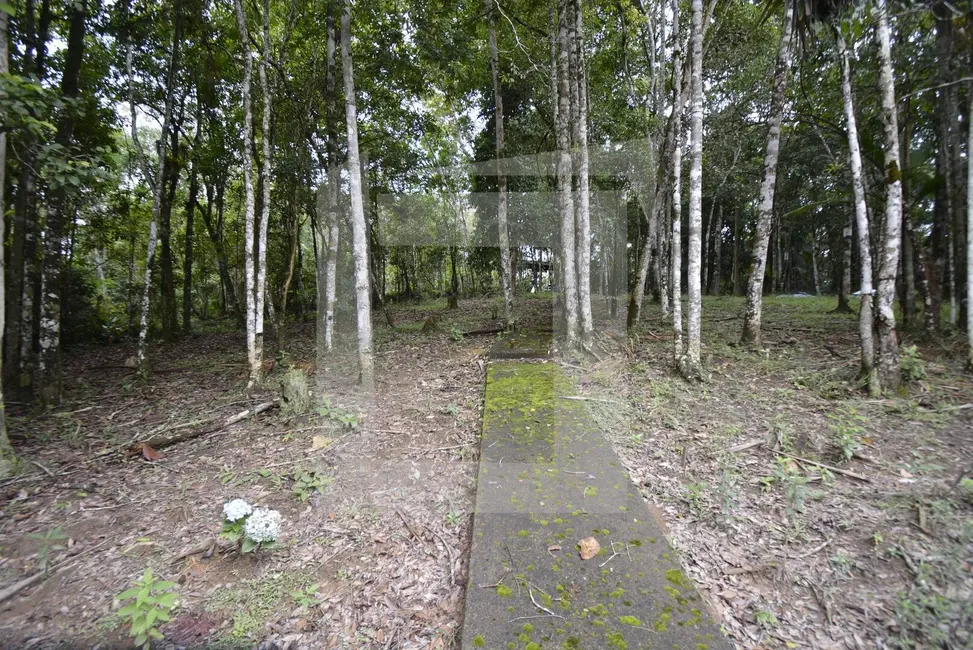 Foto 7 de Sítio / Rancho com 1 quarto à venda, 22855m2 em Centro, Juquitiba - SP