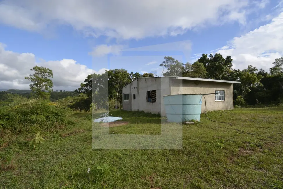 Foto 6 de Chácara com 2 quartos à venda, 15000m2 em Centro, Juquitiba - SP