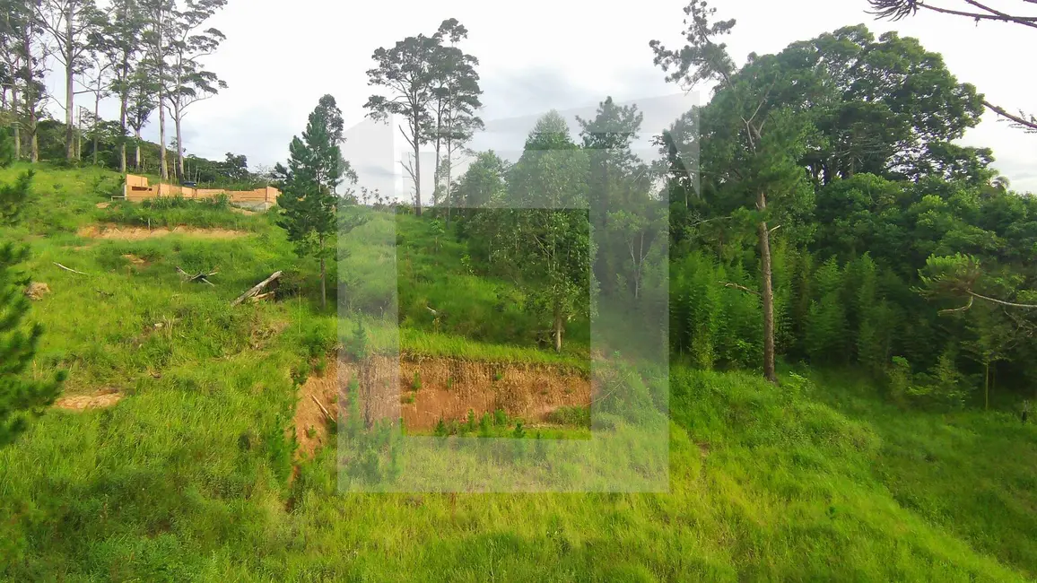 Foto 6 de Terreno / Lote à venda, 2994m2 em Centro, Juquitiba - SP