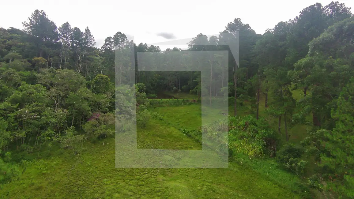 Foto 8 de Sítio / Rancho com 2 quartos à venda, 244600m2 em Centro, Juquitiba - SP