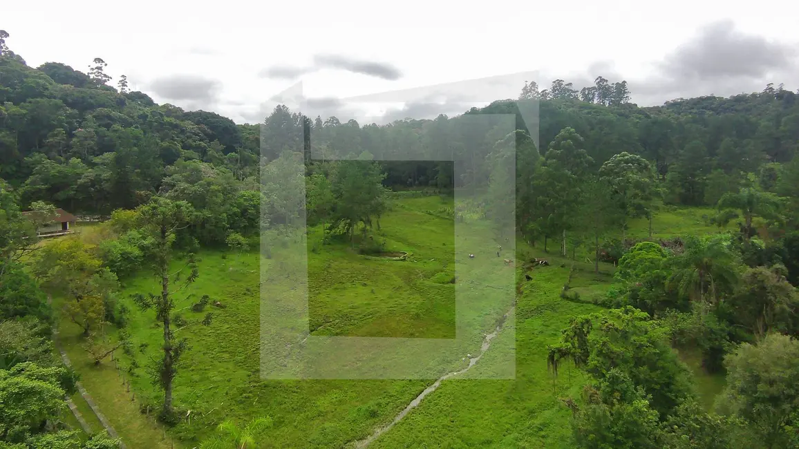 Foto 4 de Sítio / Rancho com 2 quartos à venda, 244600m2 em Centro, Juquitiba - SP