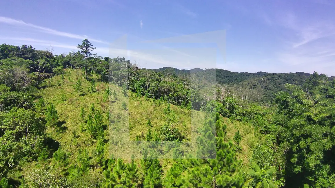 Foto 5 de Sítio / Rancho com 3 quartos à venda, 484000m2 em Centro, Juquitiba - SP