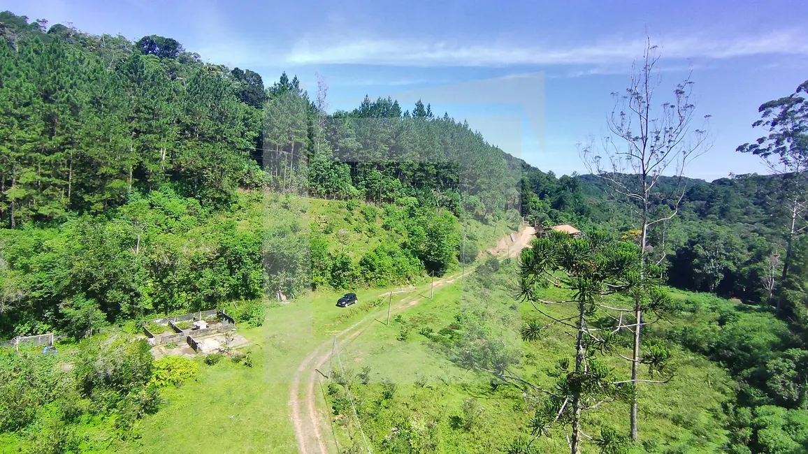 Foto 6 de Sítio / Rancho com 3 quartos à venda, 484000m2 em Centro, Juquitiba - SP
