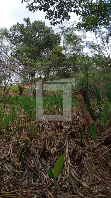 Foto 7 de Terreno / Lote à venda, 12000m2 em Centro, Juquitiba - SP
