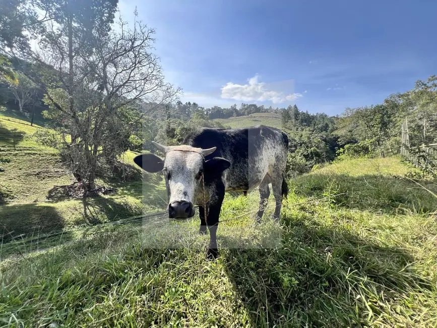 Foto 39 de Chácara à venda, 412m2 em Juquitiba - SP