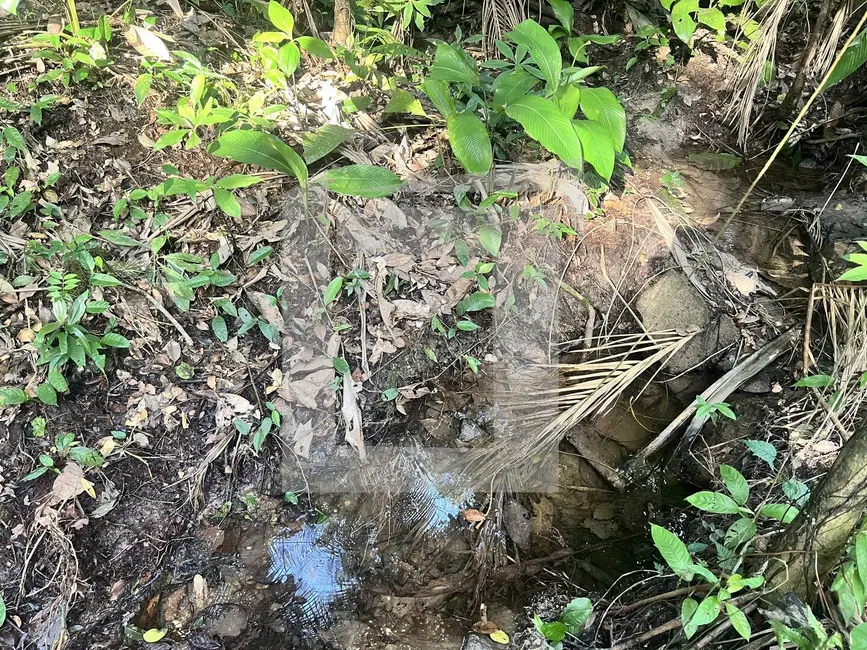 Foto 8 de Sítio / Rancho com 2 quartos à venda, 20000m2 em Centro, Juquitiba - SP