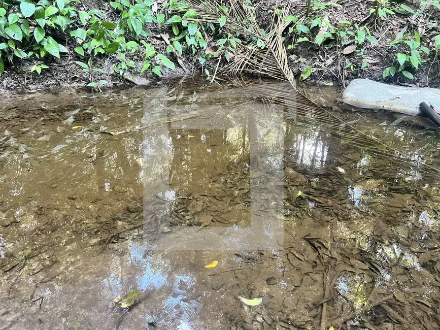 Foto 6 de Sítio / Rancho com 2 quartos à venda, 20000m2 em Centro, Juquitiba - SP