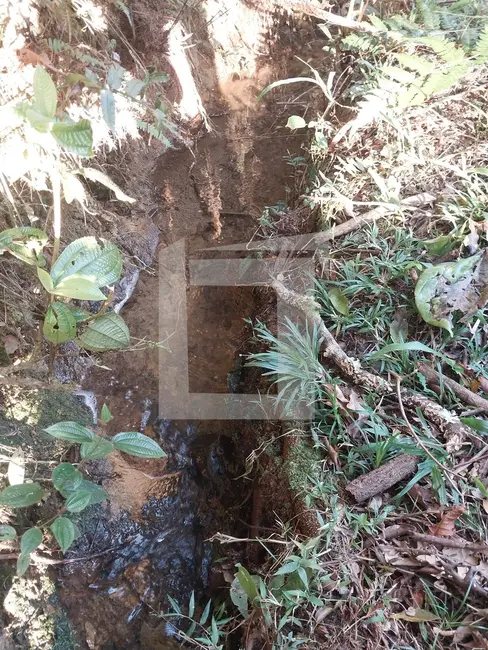 Foto 8 de Terreno / Lote à venda, 21576m2 em Centro, Juquitiba - SP