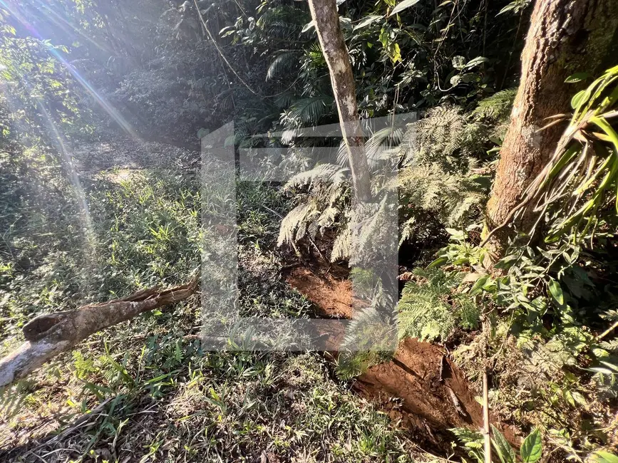 Foto 4 de Terreno / Lote à venda, 21576m2 em Centro, Juquitiba - SP