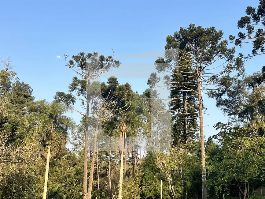 Foto 7 de Terreno / Lote à venda, 21576m2 em Centro, Juquitiba - SP