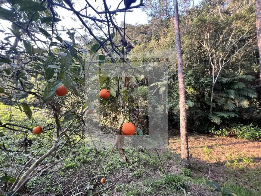 Foto 6 de Terreno / Lote à venda, 21576m2 em Centro, Juquitiba - SP