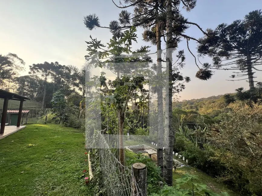 Foto 7 de Sítio / Rancho com 3 quartos à venda, 21000m2 em Centro, Juquitiba - SP