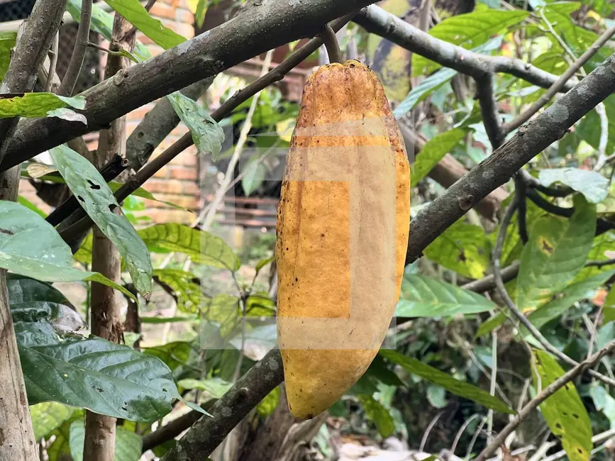 Foto 4 de Sítio / Rancho com 3 quartos à venda, 87604m2 em Centro, Juquitiba - SP