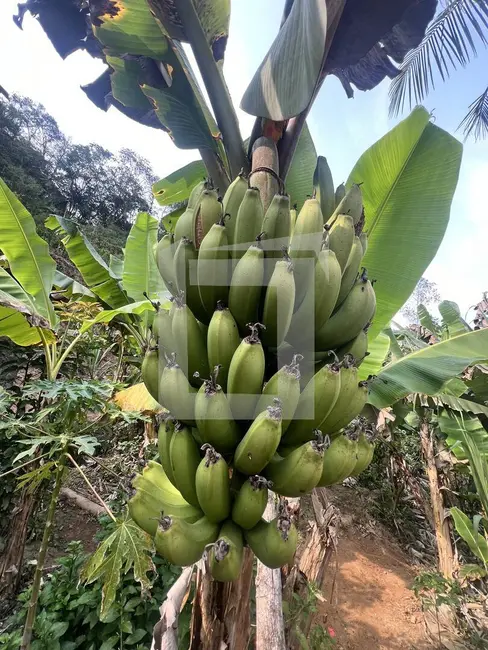 Foto 5 de Sítio / Rancho com 3 quartos à venda, 87604m2 em Centro, Juquitiba - SP