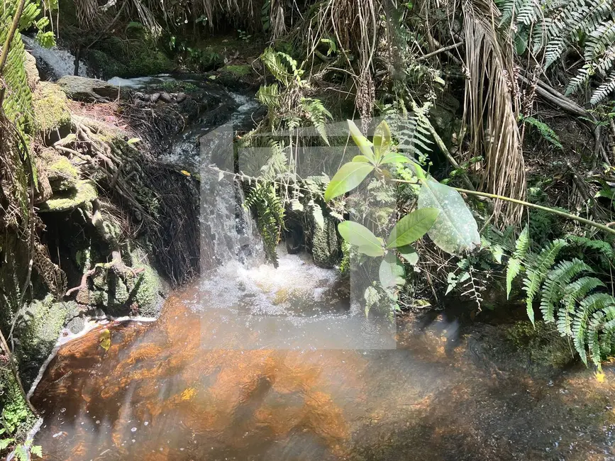 Foto 8 de Sítio / Rancho com 3 quartos à venda, 24128m2 em Centro, Sao Lourenco Da Serra - SP