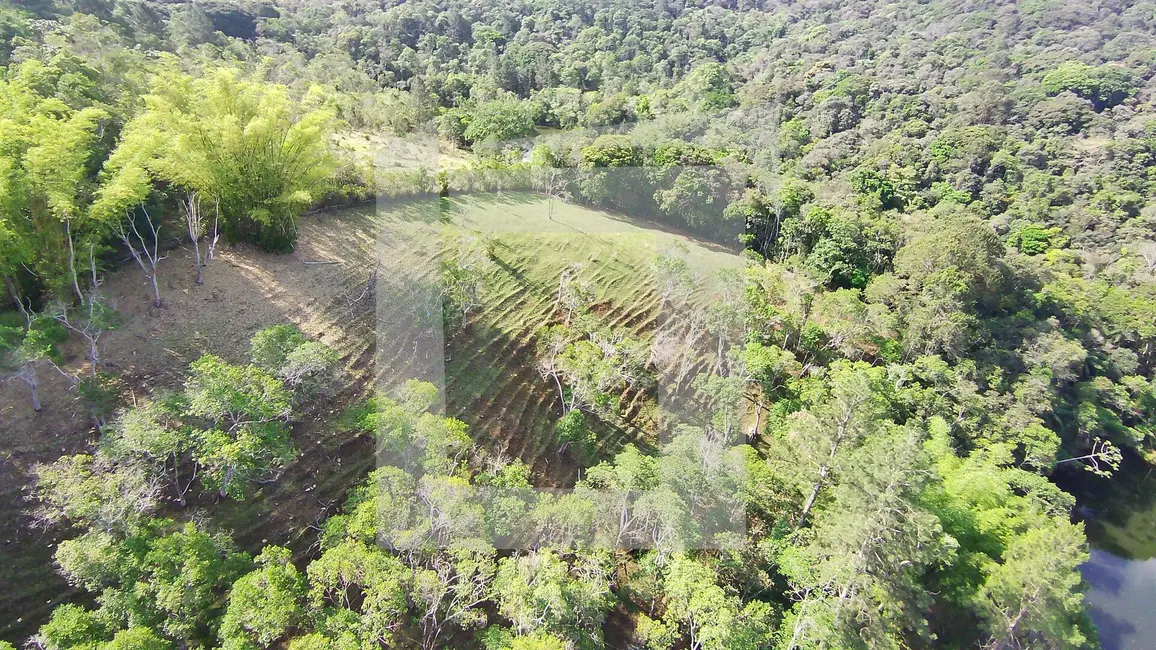 Foto 9 de Sítio / Rancho com 3 quartos à venda, 75000m2 em Centro, Juquitiba - SP